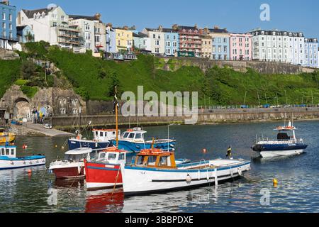 Tenby Hafen am frühen Morgen im Frühling, Pembrokeshire Stockfoto
