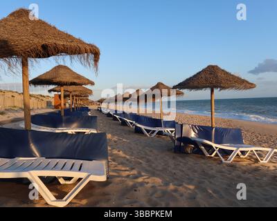 Am frühen Abend und ein einsamer Strand an der Algarve: Reihen leerer Liegestühle, umgedrehte Matratzen und konische Strohschirme. Stockfoto