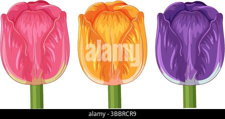 Drei farbenfrohe Tulpen im Vektorstil mit detaillierten Blütenblättern und lebhaften Farbtönen. Perfekt für botanische Illustrationen und Blumenmuster Stock Vektor