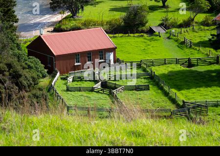 Scherschuppen und -Werften, Otehei Bay, Urupukapuka Island, Bay of Islands, Nordinsel, Neuseeland Stockfoto