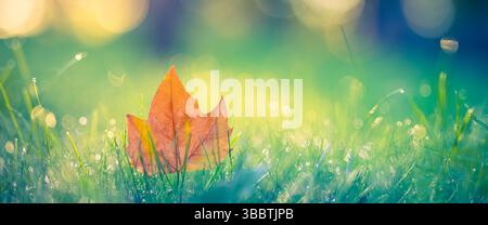 Goldenes Herbstblatt auf grünem Gras mit Morgensonnenaufgang und Tau-Tropfen, friedliche jahreszeitliche Naturszene im verschwommenen Garten Park Waldfeld Hintergrund Stockfoto