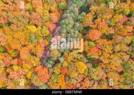 Atemberaubende herbstliche Landschaft mit Bergstraße, die sich durch bunten Wald schlängelt, herrlicher saisonaler Aussicht und atemberaubendem Naturhintergrund Stockfoto