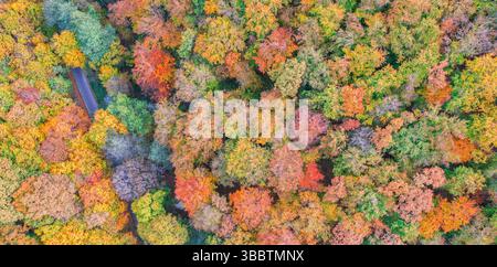 Atemberaubende herbstliche Landschaft mit Bergstraße, die sich durch bunten Wald schlängelt, herrlicher saisonaler Aussicht und atemberaubendem Naturhintergrund Stockfoto