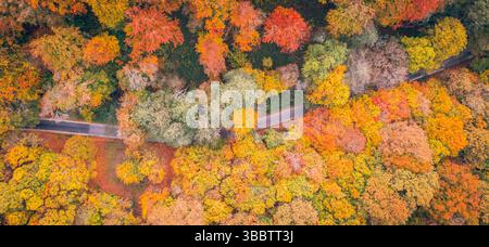 Herrliche herbstliche Waldlandschaft mit ruhiger Bergstraße, friedlicher Herbstszene, malerischer Naturmalerei, lebendigem Laub Stockfoto
