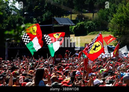 Imola, Italie. Mai 2025. Tifosi-Illustration während der Formel 1 AWS Gran Premio del Made in Italy e Dell'Emilia-Romagna 2025, Emilia Romagna Grand Prix 2025, 7. Runde der FIA Formel-1-Weltmeisterschaft 2025 vom 16. Bis 18. Mai 2025 auf dem Autodromo Internazionale Enzo e Dino Ferrari in Imola, Italien - Foto Javier Jimenez/DPPI Credit: DPPI Media/Alamy Live News Stockfoto
