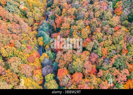 Wunderschöne herbstliche Luftlandschaft mit malerischen bunten Blättern und Bäumen, saisonaler Naturblick, ruhiger landschaftlicher Hintergrund des lebendigen Herbstwaldes Stockfoto