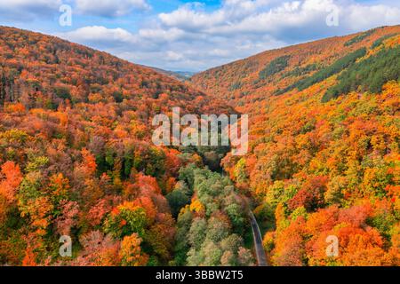 Wunderschöne herbstliche Luftlandschaft mit malerischen bunten Blättern und Bäumen, saisonaler Naturblick, ruhiger landschaftlicher Hintergrund des lebendigen Herbstwaldes Stockfoto