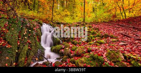 Schöner ruhiger Bergbach mit ruhigem Wasserfluss umgeben von bunten Herbstblättern, erstaunlicher saisonaler Naturlandschaft und ruhiger Landschaft Stockfoto