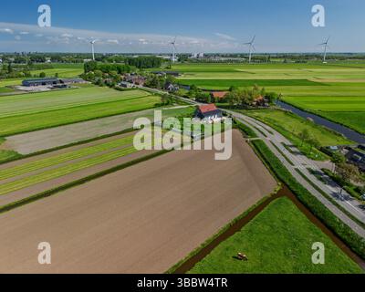Blick aus der Vogelperspektive auf grüne Felder mit weidenden Kühen, frisch gepflügte Felder und entfernte Windturbinen unter einem klaren blauen Himmel in der niederländischen Landschaft. Stockfoto