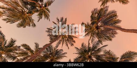 Atemberaubender Sonnenuntergangshimmel mit Blick auf Palmenblätter, traumhafte tropische Tapeten mit inspirierenden Farben, friedliche Urlaubsreisen im Hintergrund Stockfoto