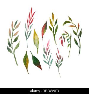 Set von handgezeichneten grünen Zweigen und Blättern in Aquarellen Stockfoto