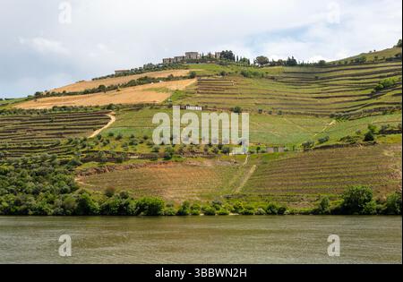 Sandeman Portweinkellerei, Tal des Flusses Douro, Valenca do Douro, Portugal, Europa Stockfoto