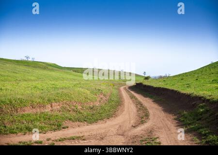 Auf Titelski Breg, Vojvodina, Serbien, schlängelt sich ein gewundener Feldweg durch das helle Frühlingsgras und führt das Auge über sanfte grüne Hügel unter einer Clea Stockfoto