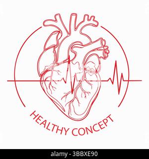 Anatomische Darstellung des menschlichen Herzens mit Herzschlaglinie, Kardiologiesymbol. Stock Vektor