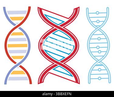 Sammlung von bunten DNA-Strang-Symbolen, Wissenschafts- und Biologiesymbolen. Stock Vektor