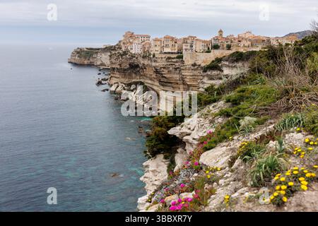 20. April 2025, Frankreich, Bonifacio: Blick auf die Stadt Bonifacio auf der Insel Korsika (Frankreich) am 20.04.2025. Die mittelalterliche Altstadt (Ville Haute) ist auf einem Felsvorsprung aus Kalk- und Sandstein zu sehen, der zum großen Teil senkrecht zum Meer abfällt. Bonifacio (Bonifaziu) ist eine Hafenstadt im Süden der französischen Mittelmeerinsel Korsika (Corse, Korsika) im Departement Corse-du-Sud. Die Altstadt liegt auf einem halbinnenähnlichen Felsplateau und ist eine der beeindruckendsten Sehenswürdigkeiten und Wahrzeichen der Insel. Foto: Matthias B. Stockfoto