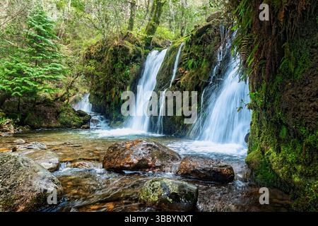 Dreifacher Wasserfall, der in einen Pool stürzt und wild durch das Glenmalure Valley fließt, Irlands Berglandschaft in den Wicklow Mountains. Stockfoto