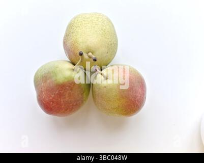 Drei Äpfel sitzen auf weißem Hintergrund. Die Äpfel sind grün und rot. Die Äpfel sind dreieckig angeordnet Stockfoto