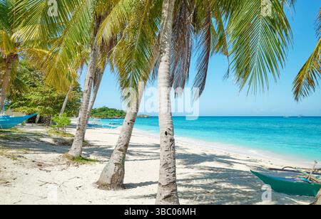 Tropischer Strand mit Palmen und türkisfarbenem Meer, perfektes Sommerurlaubskonzept. Stockfoto