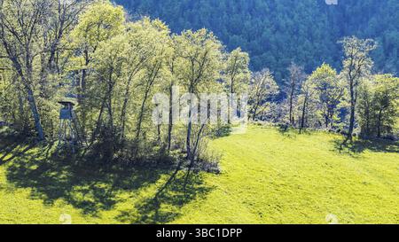 Hintergrundbeleuchtete Landschaft bei Gutenberg. Berge und Wald auf dem Albtrauf der Schwäbischen Alb im Frühjahr. Lenningen, Baden-Württemberg, Deutschland, Europa Stockfoto