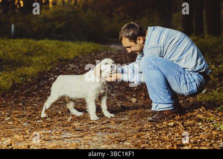 Golden Retriever Welpen mit Menschen gehen in den Park Stockfoto