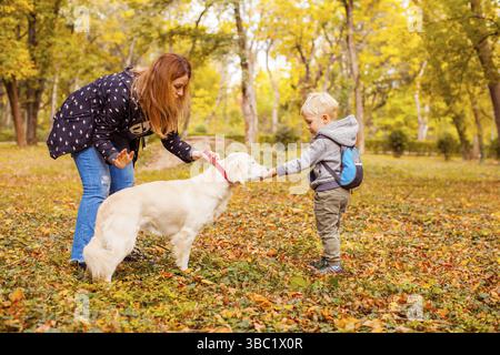 Mutter und Sohn trainieren an sonnigen Tagen im Herbstwald Gold Retriever Stockfoto