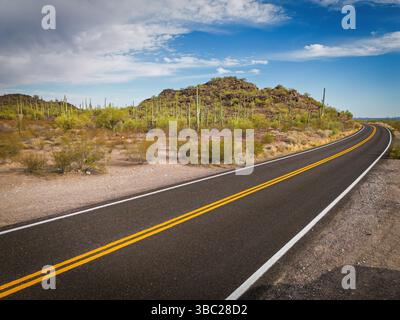 Cactus and Joshua Trees entlang des Highway 85 im Organ Pipe Cactus National Monument. Leere Wüstenautobahn. Arizona USA. Stockfoto