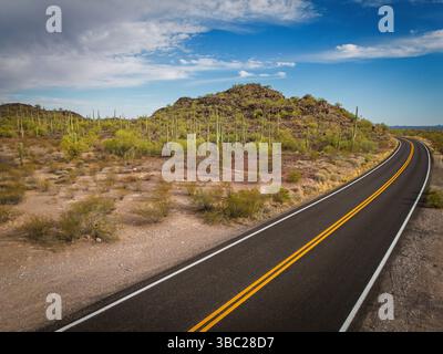 Cactus and Joshua Trees entlang des Highway 85 im Organ Pipe Cactus National Monument. Leere Wüstenautobahn. Arizona USA. Stockfoto