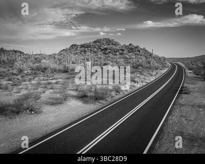 Cactus and Joshua Trees entlang des Highway 85 im Organ Pipe Cactus National Monument. Leere Wüstenautobahn. Arizona USA. Stockfoto