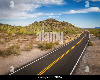 Cactus and Joshua Trees entlang des Highway 85 im Organ Pipe Cactus National Monument. Leere Wüstenautobahn. Arizona USA. Stockfoto
