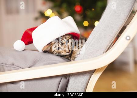 Porträt einer biengalen Neujahrskatze mit Weihnachtsmannmütze, die an einem Stuhl sitzt. Weihnachtsbaumbeleuchtung im Hintergrund Stockfoto