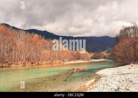 Klares Wasser des Azusa-Flusses und Kiefern im Kamikochi-Nationalpark in der Herbstsaison Stockfoto