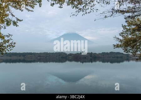 Blick auf den Tanuki-See mit Ahornbäumen am Abend Stockfoto