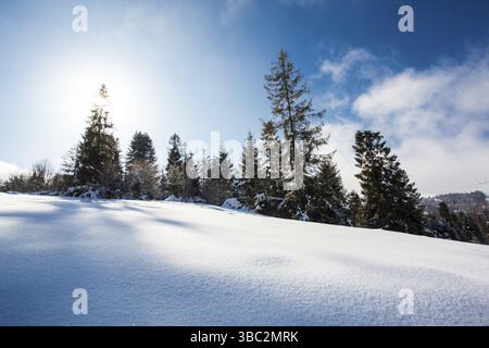 Fantastische Winterlandschaft in sonniger Tag, Tannen in die Berge und Schnee-bedeckten Hügeln Stockfoto