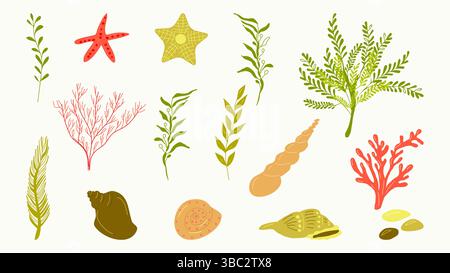 Meerespflanzen Unterwasser Meeresflora Set. Design für Banner Poster Vorlage Einladungskarte. Vektorabbildung. Stock Vektor