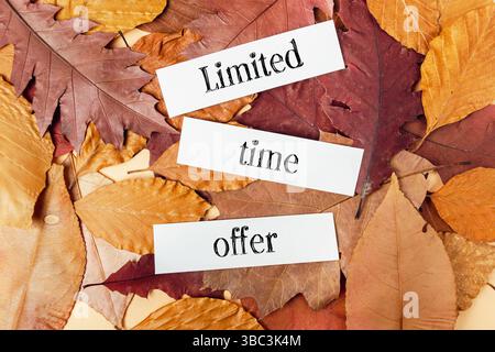 Herbstblatthaufen, auf denen die Worte zeitlich begrenztes Angebot geschrieben sind. Das Konzept der Dringlichkeit und Begeisterung Stockfoto