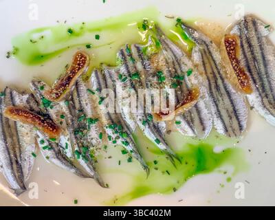Zarte marinierte Sardellen-Fischfilets werden kunstvoll auf einem weißen Teller angeordnet, garniert mit lebendiger grüner Soße und Kräutern. Stockfoto