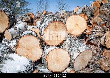 Nahaufnahme der gehackten Birkenholz-Baumstämme, die für den Winter im Rural Yard gestapelt sind. Stockfoto