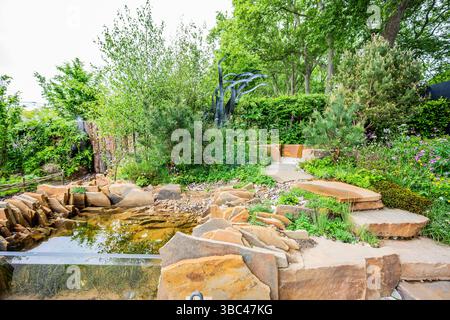 London, Großbritannien. Mai 2025. Seawilding von Ryan McMahon, alles über Pflanzen - die RHS Chelsea Flower Show 2025. Sie läuft ab dem 19-24. Mai. Guy Bell/Alamy Live News Stockfoto