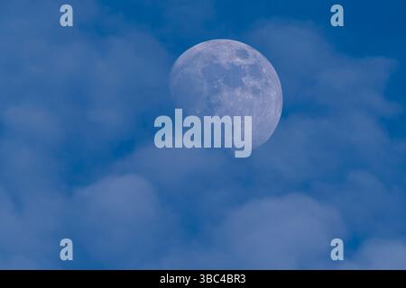Nahaufnahme des wachsenden Gibbous Mondes am blauen Tageshimmel mit weichen Wolken. Ein seltener und friedlicher Blick auf den Mond, der vor Einbruch der Dunkelheit deutlich sichtbar ist. Stockfoto