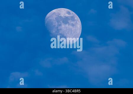 Nahaufnahme des wachsenden Gibbous Mondes am blauen Tageshimmel mit weichen Wolken. Ein seltener und friedlicher Blick auf den Mond, der vor Einbruch der Dunkelheit deutlich sichtbar ist. Stockfoto