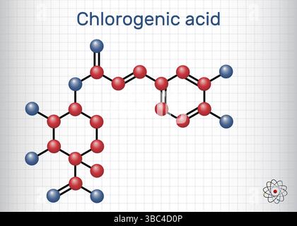 Chlorogensäuremolekül. Zur chemischen Struktur pflanzlicher Polyphenolantioxidationsmittel. Blatt Papier in einem Käfig. Vektorabbildung Stock Vektor