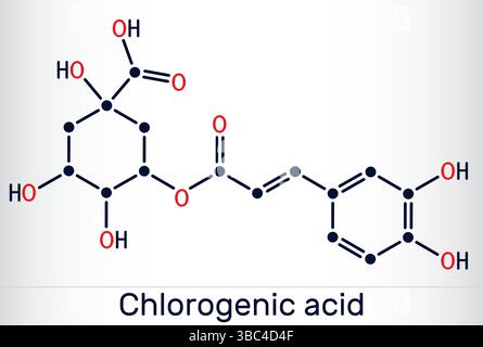 Chlorogensäuremolekül. Zur chemischen Struktur pflanzlicher Polyphenolantioxidationsmittel Stock Vektor