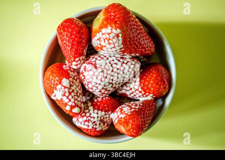 London UK, 18. Mai 2025, Eine Schüssel mit gesunden Reifen süßen, saftigen Erdbeeren und Double Cream Stockfoto