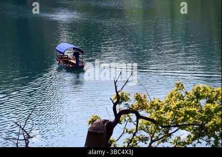 Bleder See, Bleder, Slowenien - 1. Mai 2025: Pletna-Boot mit Bootsmann, der die Insel Bleder verlässt Stockfoto