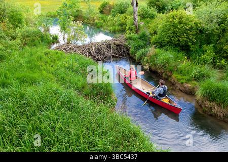 Ein Paar paddelt auf einem Kanu und hält am spektakulären Biberdamm an einem kleinen Bach in der Nähe des Flusses krka in dolenjska, dolenjske toplice, slowenien Stockfoto