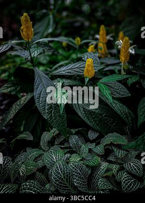 Christchurch Botanic Garden, Region Canterbury, Neuseeland Aotearoa Stockfoto