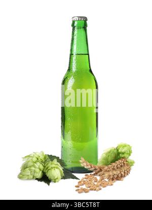 Frisches Bier in der Glasflasche mit Hopfenblüten und Weizenohren auf weißem Hintergrund Stockfoto
