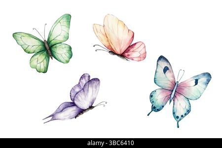 Wunderschönes buntes Schmetterlingsset. Aquarell Hand gezeichnet Insektenclipart isoliert auf Hintergrund, transparente PNG. Botanische Illustration und Hochzeit Stockfoto