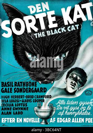 1941 dänisches Poster für den Film „die schwarze Katze“, basierend auf der gleichnamigen Kurzgeschichte von Edgar Allan Poe. Regie: Albert S. Rogell. Universelle Bilder Stockfoto